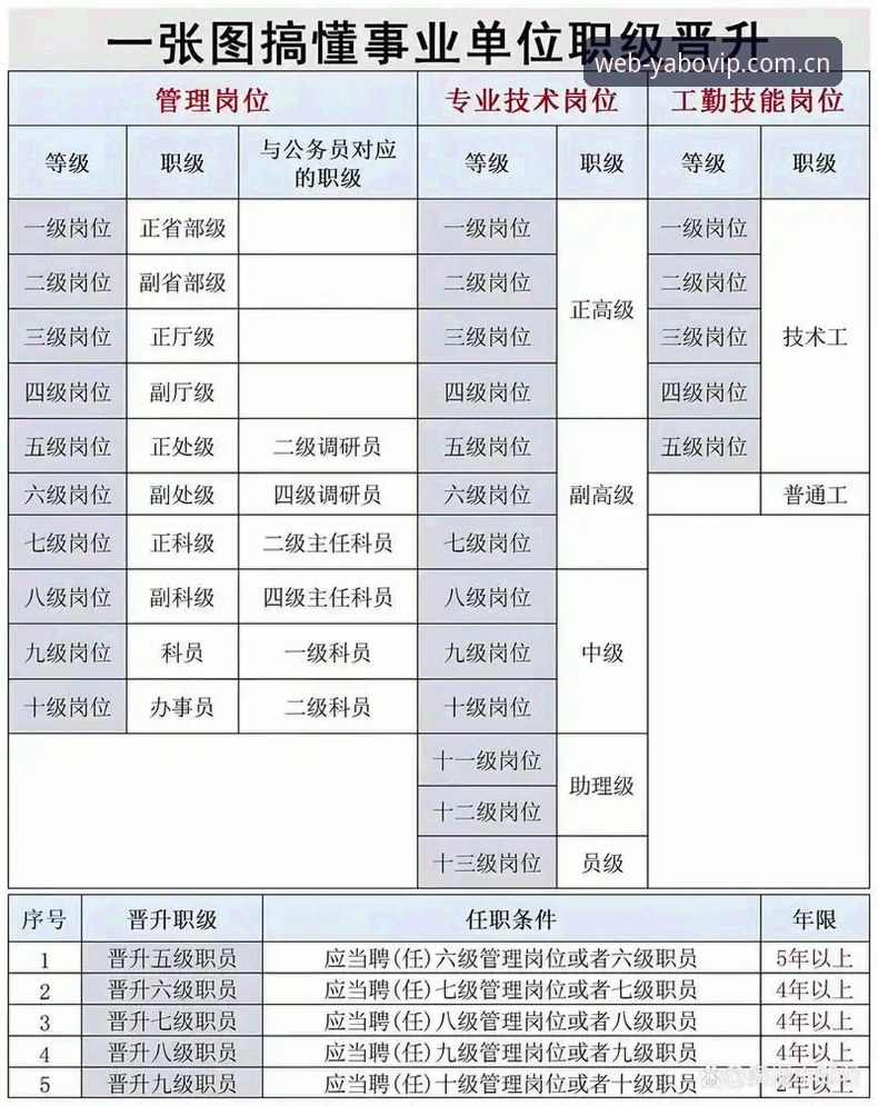 2026热门赛事数据站整合的3大实用功能与4个操作技巧